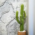 Apartamento Cactus 57 Jacuzzi Zator