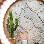 Cactus 57 Jacuzzi